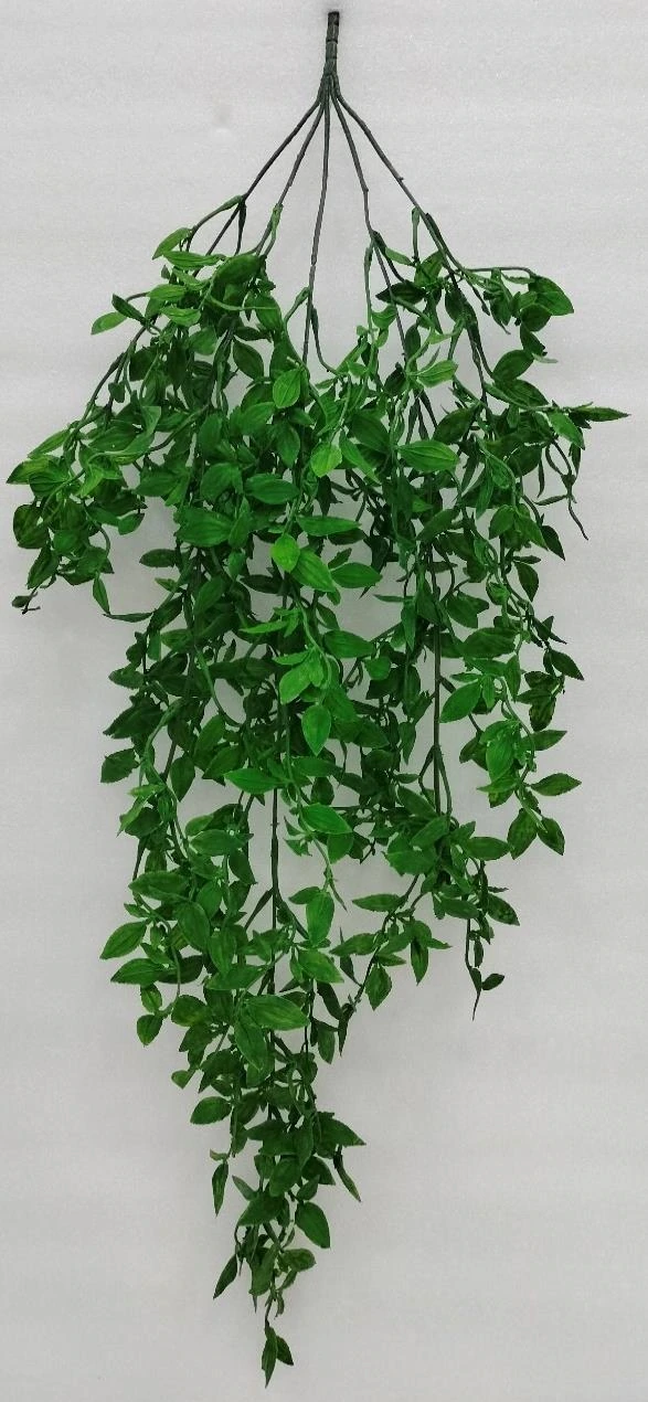 Soft Cocoboo Leaves Creeper